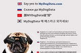 DOGDATA - OWN A DOG, SAVE MONEY AND IMPROVE YOUR DOG’S WELFARE