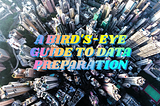 A Bird’s-eye Guide to Data Preparation