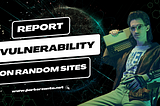 Earn Money with Fun! Find Vulnerability in Random Sites