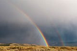 Rainbow Reigns ;

Life lessons from the spectacular bow