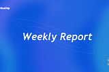 Bluechip-weekly Update #13 (2021/11/13~11/19)