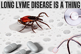 Long Lyme Disease Is A Thing - The 5 Fall Strategies For Prevention