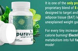 Unveiling Puravive Reviews: Navigating the Landscape of Weight Loss Solutions in 2024
