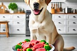 Transform Your Dog’s Health with We Feed Raw: Benefits and Insights