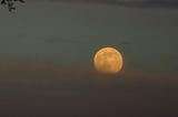 Pale Yellow Moon