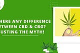 Is There Any Difference Between CBD & CBG? Busting The Myth!