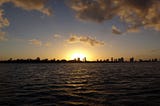 Croisiere Miami : à la rencontre des dauphins Miami (Floride)