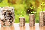 picture of stacks of coins, growing