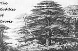 The Goddess of Groves