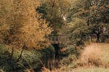 Lush Autumn trees either side of a creek with a bridge stretching between