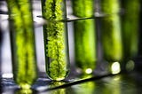 From Crops to Cars: Understanding the Biofuel Industry and its Impact