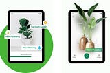 Can Your Phone Diagnose a Sick Plant? The Rise of AI in Plant Disease Identification