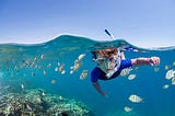 snorkeling in ocean with fish and corals