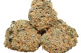 Gelato Strain Review: Cannabis Seeds on the Clock!