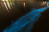 Where to see Bioluminescence (Sparkling Seas) — Tasmania