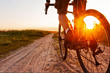 Steven Rindner: Biological Insights for Optimal Gravel Bike Maintenance