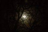 69 — Moon again