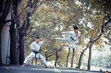 a martial artist mid air attack on another martial artists defending.