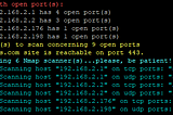 MassVulScan.sh, quickly identify open network ports and any associated vulnerabilities