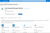 Using managed identity with Azure function app and key vault