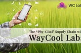 The “Phy-Gital” Supply Chain with WayCool Labs