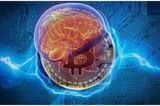 Smart money diagram with bitcoin and a brain