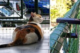 Building a safe 3rd floor balcony catio