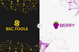 BSC.tools | Partnership With Berry Data