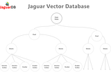 JaguarDB Dual Indexing