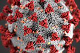 Time is of the essence: America must build its own solutions for the Coronavirus