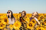Three women stand in a field of bright yellow sunflowers laughing and smiling.