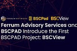 Ferrum Advisory Services and BSCPAD Introduce the First BSCPAD Project: BSCView