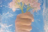 hand holding a bunch of daisies in an underwater perspective (Moving to substack