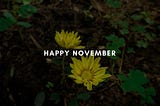 4 Reasons why November is the best month of the year.