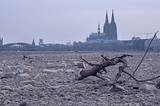 Europe’s Drought, a signpost for the future?