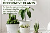 Decorative Plants, Potensi Ekspor dari Indonesia