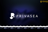 What Is the Privasea AI Network?