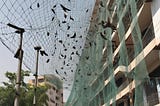 Bird Net Installation Service