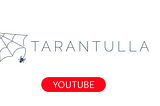 Tarantulla-YouTube: a new way to extract data from YouTube