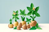 Effect of Menthol Treatment on the Sprouting and Quality of Potato Tuber