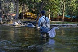 What Type of Line for Walleye Fishing 2024? A Complete Guide for Every Angler