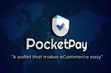 Overview of PocketPay’s Mobile Application and Features