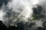 Biodiversidad y la crisis climática en uno de los lugares más biodiversos del mundo.