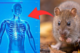 How These Tiny Heroes are Saving Us at the Cost of Their Own Lives!