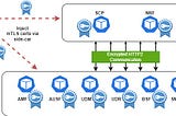 5G Core SBI mTLS Using External Certificate PKI