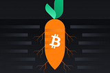 Bitcoin Taproot: The Next Upgrade of Bitcoin