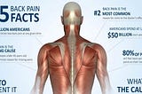 Unknown facts about Back pain