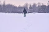 The Winter of My Discontent