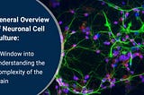 General Overview of Neuronal Cell Culture