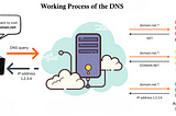 Understanding the Working Process and Types of Domains and Domain Servers